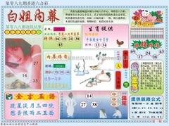 白小姐内幕A
